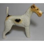 BESWICK WIRE HAIRED TERRIER TALAVERA ROMULUS 963