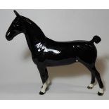 BESWICK CH BLACK MAGIC