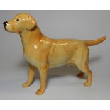 BESWICK WENDOVER GOLDEN LABRADOR