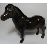 BESWICK SHETLAND PONY BLACK & BROWN