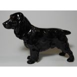 ROYAL DOULTON BLACK SPANIEL HN1020