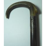 SILVER BANDED GENTS CANE