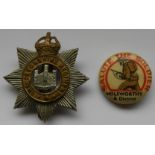 DEVONSHIRE REGIMENT BADGE & HOLSWORTHY & DISTRICT SALUTE THE SOLDIER PIN BADGE