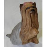 ROYAL DOULTON YORKSHIRE TERRIER