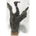 DONALD HURREN DRIFTWOOD SCULTURE CORMORANT 28'H