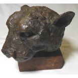 HAMISH MACKIE BA BRONZE PANTHERS HEAD SCULPTURE TO WOODEN BASE LTD ED 3 OF 12 4.5' X 3.25' 96