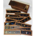 12 VICTORIAN CHILDS COLOURED LANTERN SLIDES IN BOX