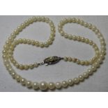 SAKATA CULTURED PEARL NECKLACE WITH SILVER CLASP