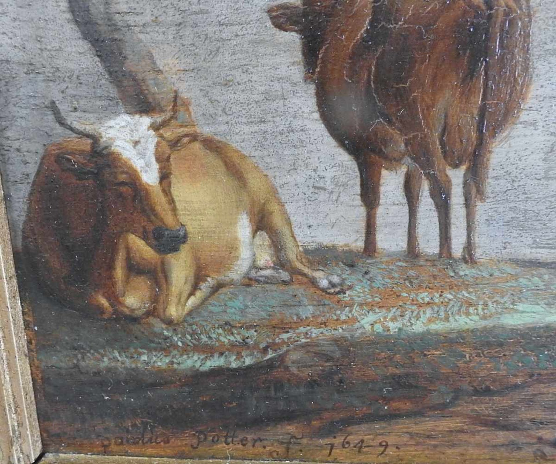 Paulus Potter, 1625 Enkhuizen - 1654 Amsterdam "Stiere auf der Weide". Öl/Holz, gerahmt. Links unten - Bild 3 aus 3