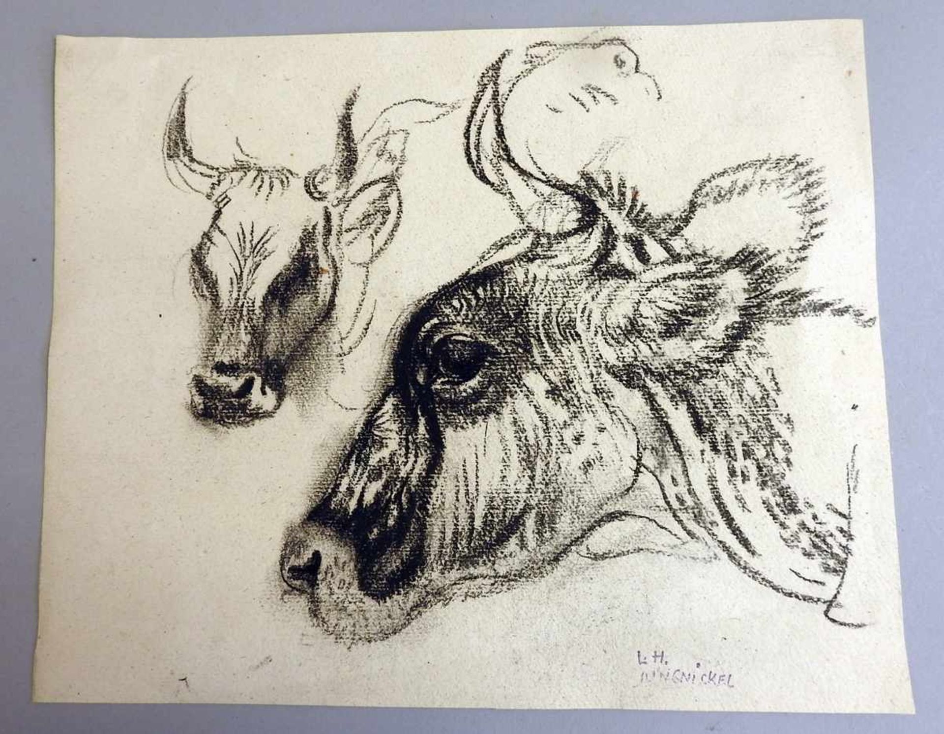 Ludwig Heinrich Jungnickel, 1881 Wunsiedel - 1965 Wien Skizze von zwei Büffeln. Kohlezeichnung/