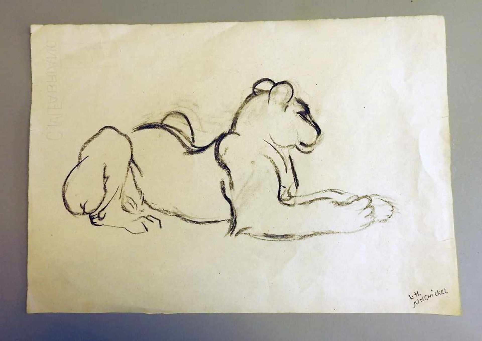 Ludwig Heinrich Jungnickel, 1881 Wunsiedel - 1965 Wien Liegende Löwin. Kohlezeichnung auf Papier,