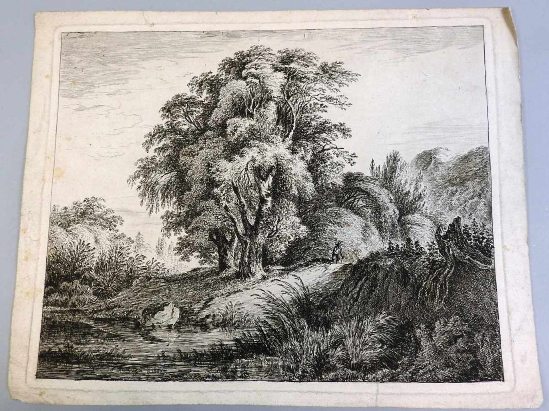 Franz Rechberger, 1771 Wien - 1841 ebenda Landschaft mit Bach und Wald aus der Steiermark.