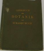 Lehrbuch der Botanik für Hochschulen Dr. Ed. Strasburger u.a., 3. verbesserte Auflage, mit 617 z.