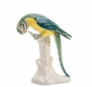 Papagei, Aelteste Volkstedter Porzellanmanufaktur Polychrom in Grün und Gelb staffiert. Auf einem
