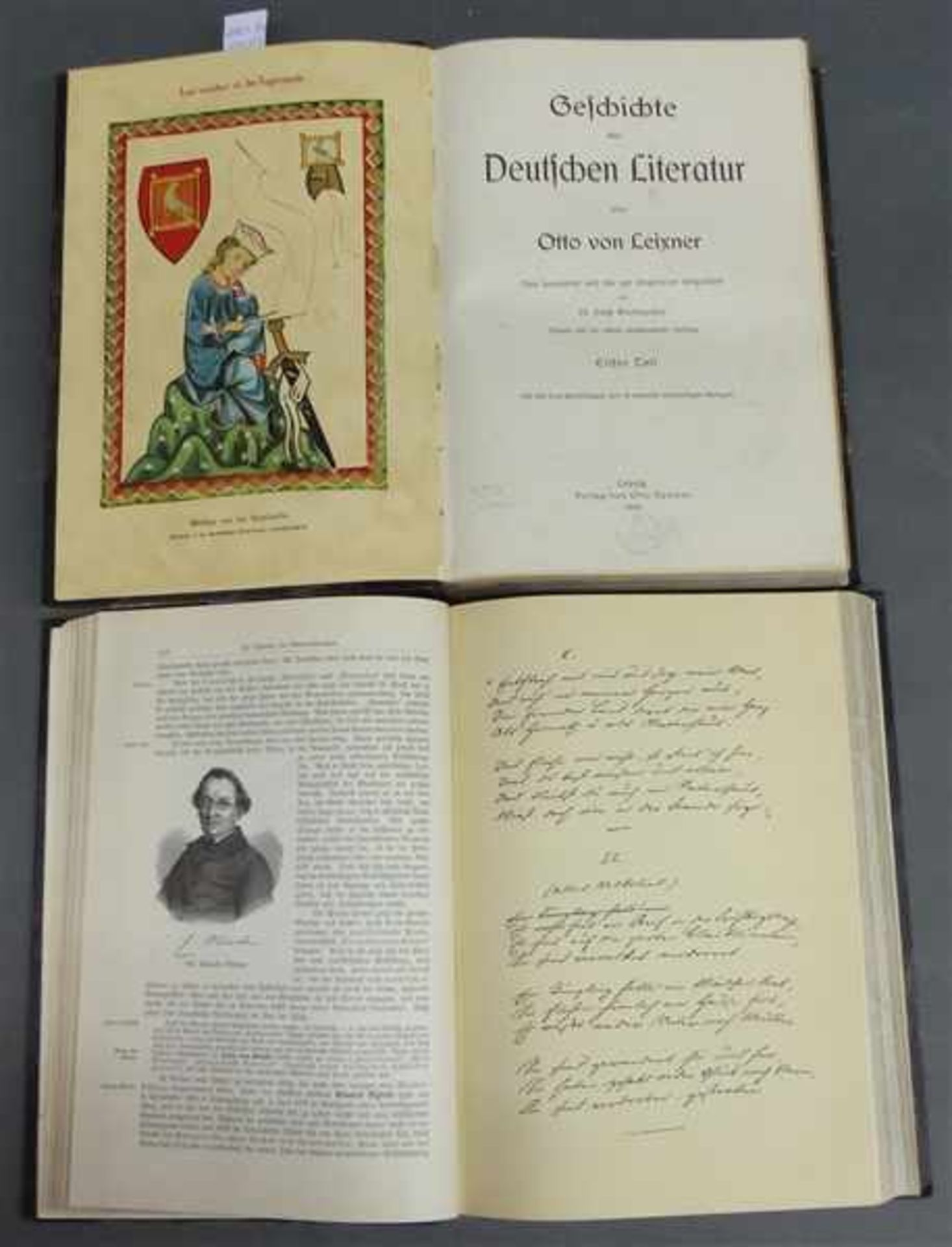 2 Bücher Geschichte der deutschen Literatur, von Otto von Leixner, Leipzig 1916, Jugendstileinband,