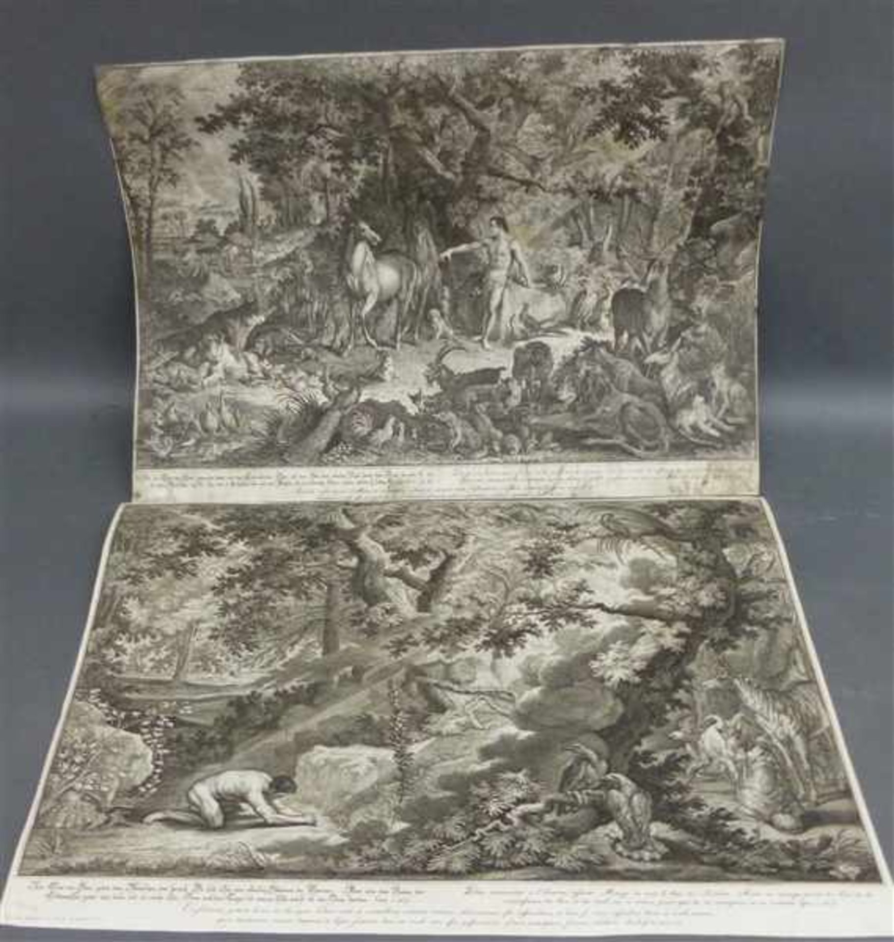 Paar Kupferstiche, 18. Jh. Darstellungen aus dem Paradies mit Adam und Tieren, gestochen von