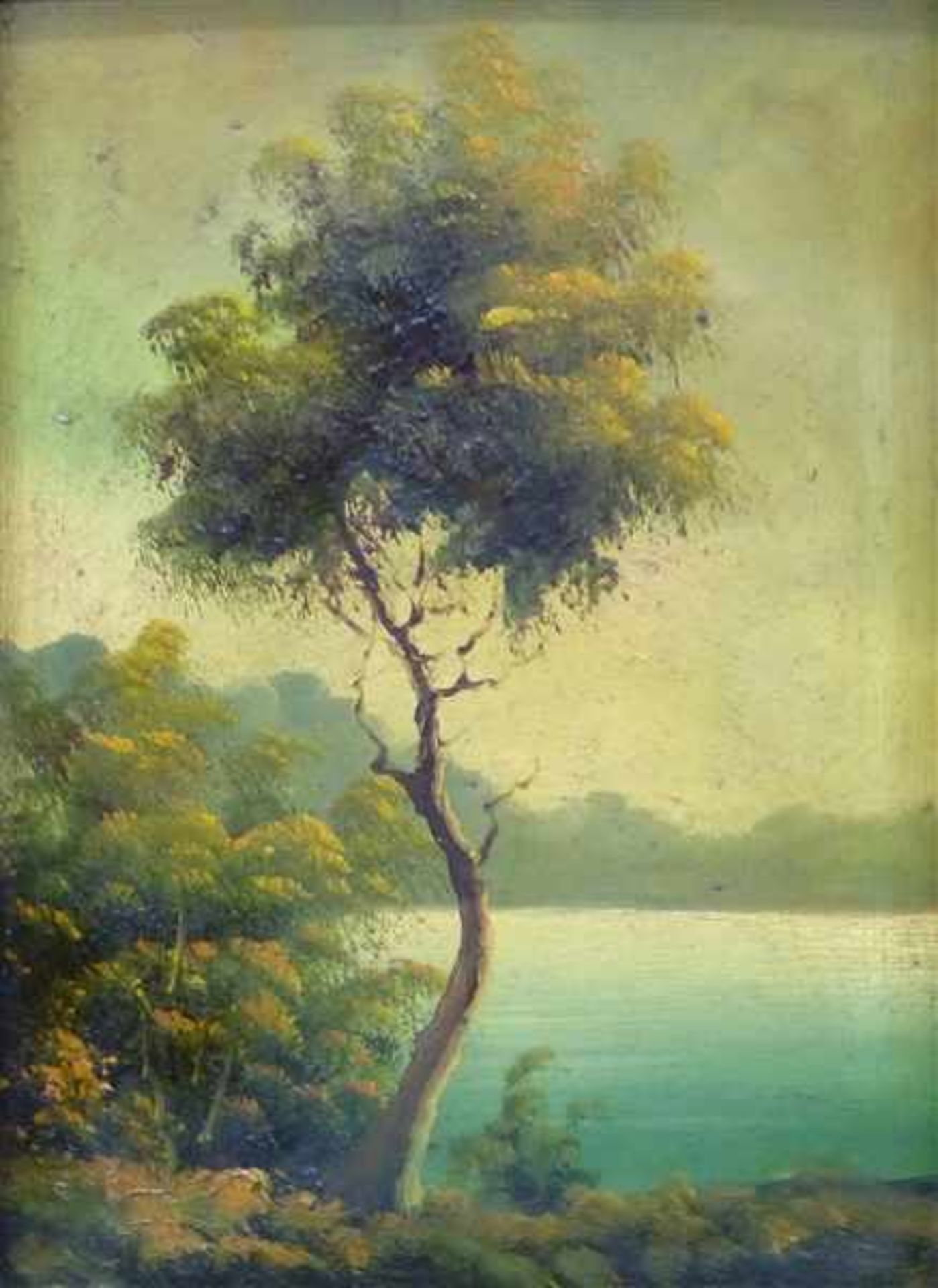 Unbekannt Öl auf Karton, italienische Seelandschaft mit Baum, 20. Jh., 20 x 14 cm, im Rahmen,