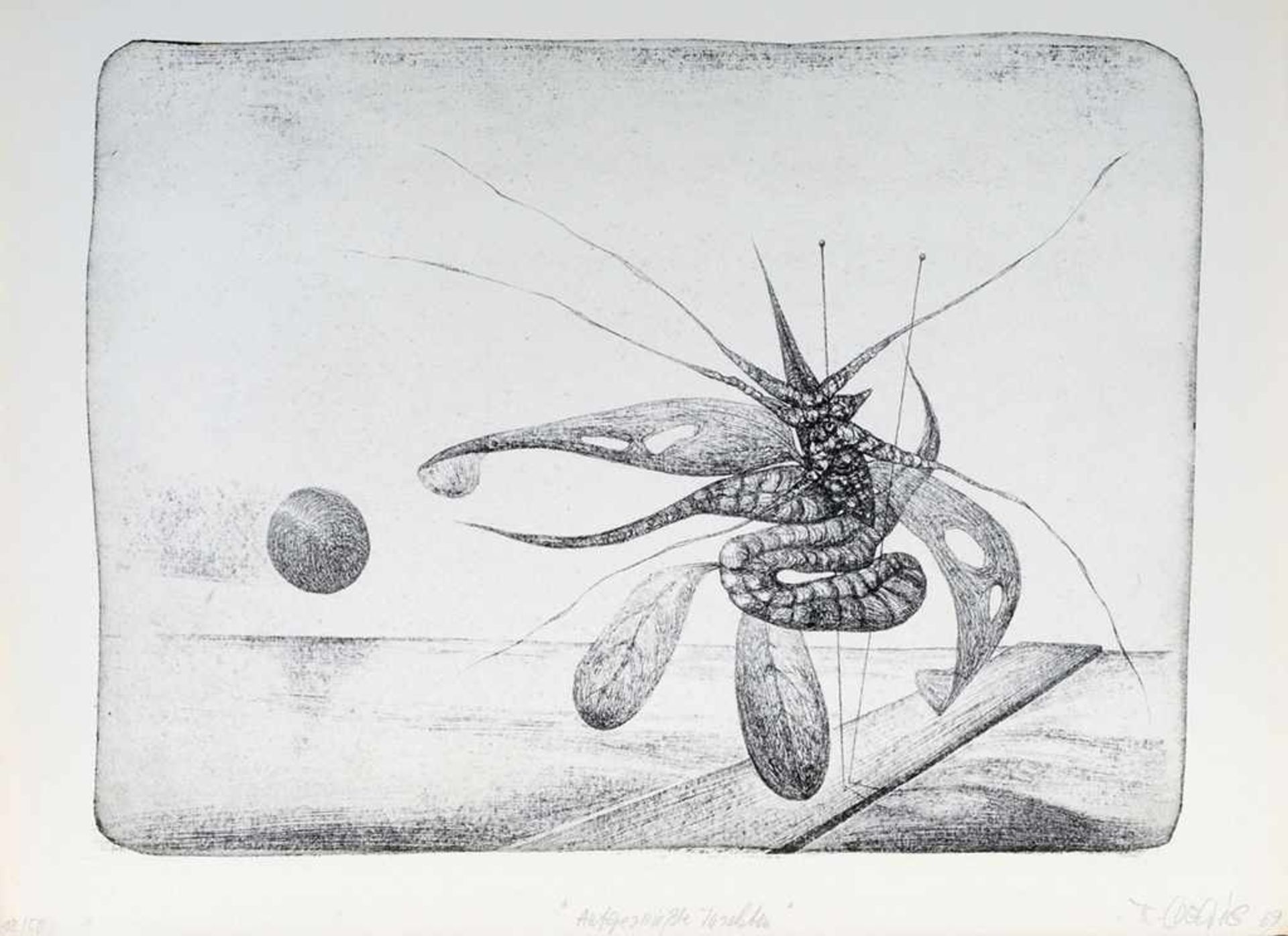 Loewig, Roger (1930 Striegau - 1997 Berlin) Lithographie. "Aufgespießte Insekten". Aufl. 18/50. In