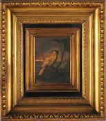 Unbekannt (Wohl Wiener Maler, 2. H. 19. Jh.) Öl/Malpappe. Goldammer, auf einem Ast sitzend mit