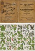 "Botanischer Taschen-Bilderbogen für den Spaziergang" "..110 farbige Abbildungen der