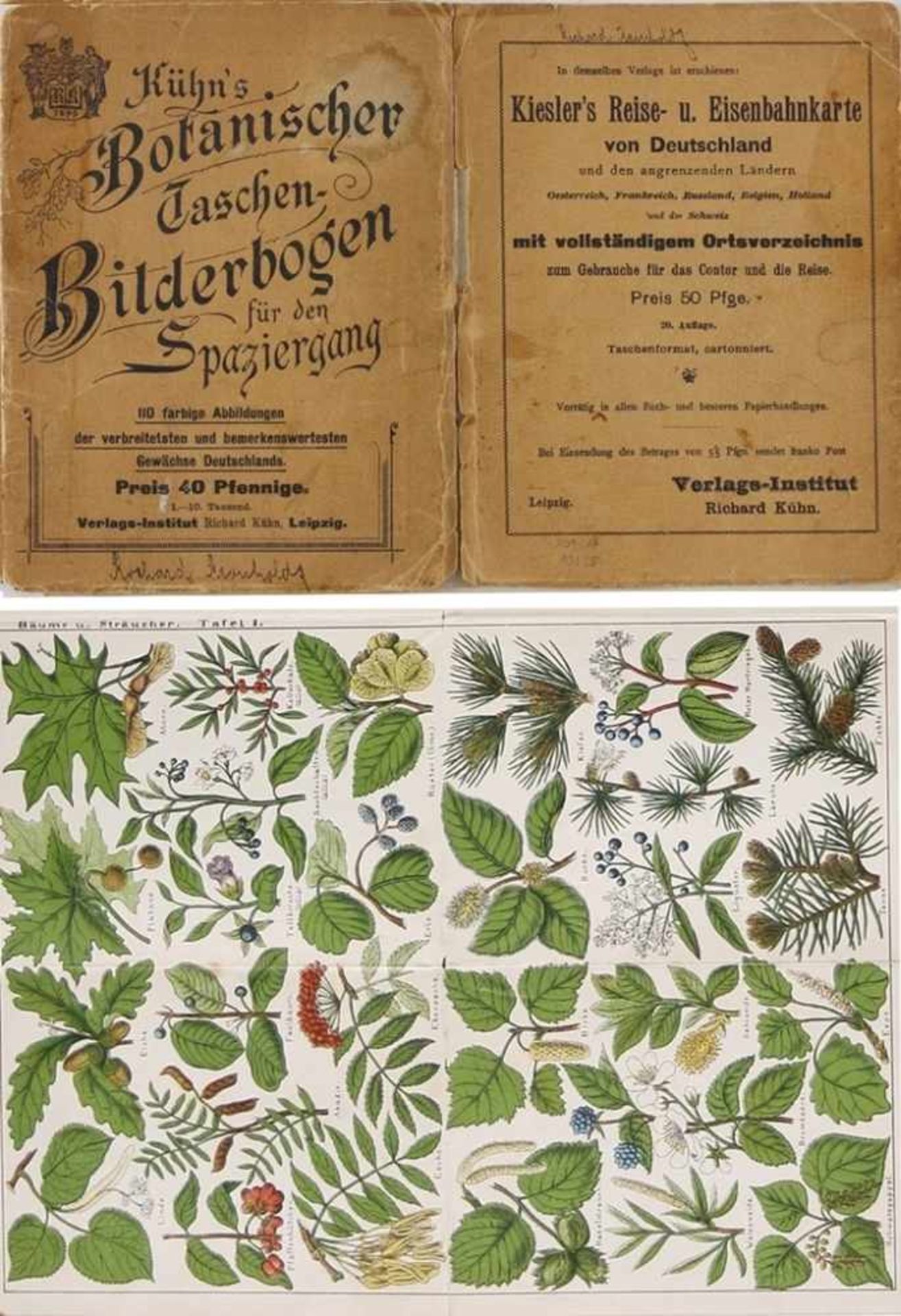 "Botanischer Taschen-Bilderbogen für den Spaziergang" "..110 farbige Abbildungen der