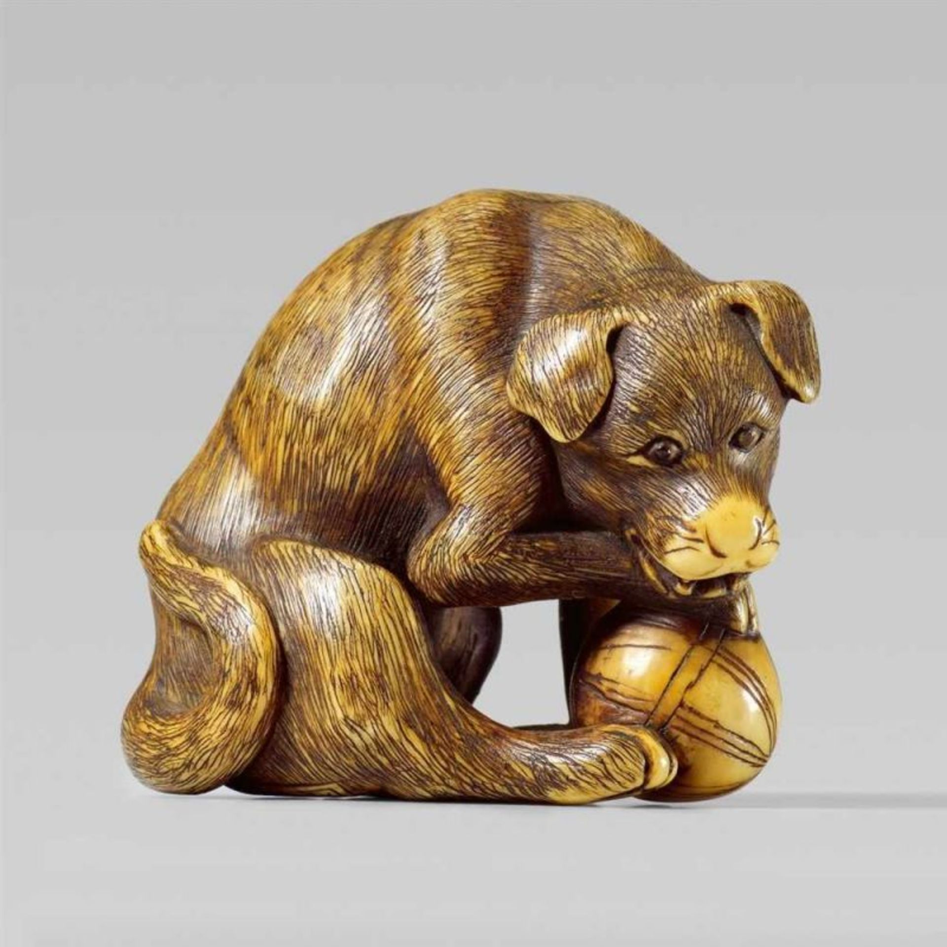 A fine wood netsuke of a male dog. Late 18th century - Seated with mouth open, [...] - Image 2 of 2