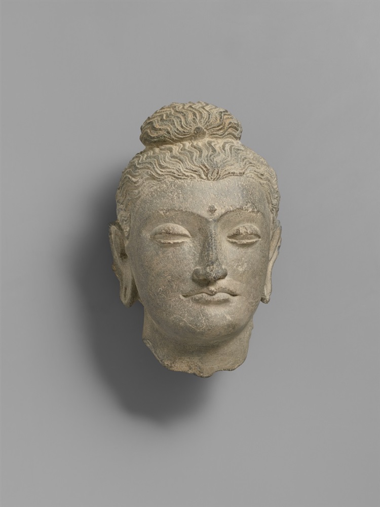 Kopf eines Buddha. Grauer Schist. Pakistan, Gandhara. 2./3. Jh. Ebenmäßige Züge mit großen,