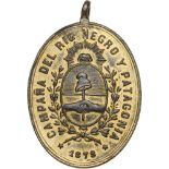 Bronze Medal for Rio Negro and Patagonia Campaigns, instituted in 1881 Breast Badge, 30 x 26 mm,
