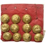 Lot of 200 military Buttons, md 1930 Staff, Engineer, Hunter,Mmountain Troops, Cavalry, Artillery,