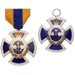 Lot of 2 ROYAL NATIONAL INSTITUTE MEDALS Breast Badges, 53 mm, gilt Bronze, silvered bronze, both