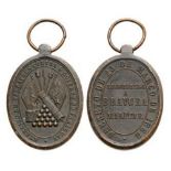 Medal for Military Valor, instituted in 1868 Breast Badge, 35x25 mm, Bronze, obverse depicting a