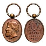 Rare Miniature Medal of Matto Grosso, 1867 Breast Badge, 16x11 mm, Bronze. Ross Br20. I R!
