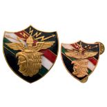 Group of 2 Mexican Aero Forces Badges Large and Small Models, 1st Type. Breast Badges, 52x42 mm