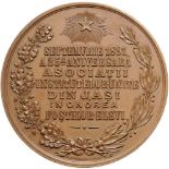 Medal 1891, signed N. Sternberg, Bronze (55mm, 61.40 g). R! XF+