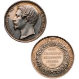 Nonwearable medal, silver, 51 mm, French Mint hallmark "handâ€“Argent", obverse portrait of Napoleon