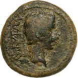Head of Augustus right / two corn ears. RPC I, 3125. VF-
