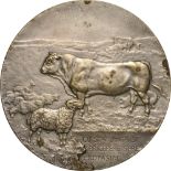 Medal 1925, signed C. Cristescu, silvered Bronze (60 mm, 78.71 g). XF