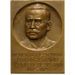 Uniface plaquette 1912, signed by Stanescu, Bronze (50x70 mm, 97.32 g). XF