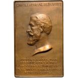 Plaquette 1903, signed C. Popescu, Bronze (50x81 mm, 116.86 g). XF