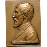 Plaquette 1910, signed by Carniol fiul, Bronze ( 45x60 mm, 89.76 g). R! XF+