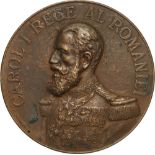 Medal 1895, signed by C. Stelmans, Bronze (60 mm, 96.45 g). VF +