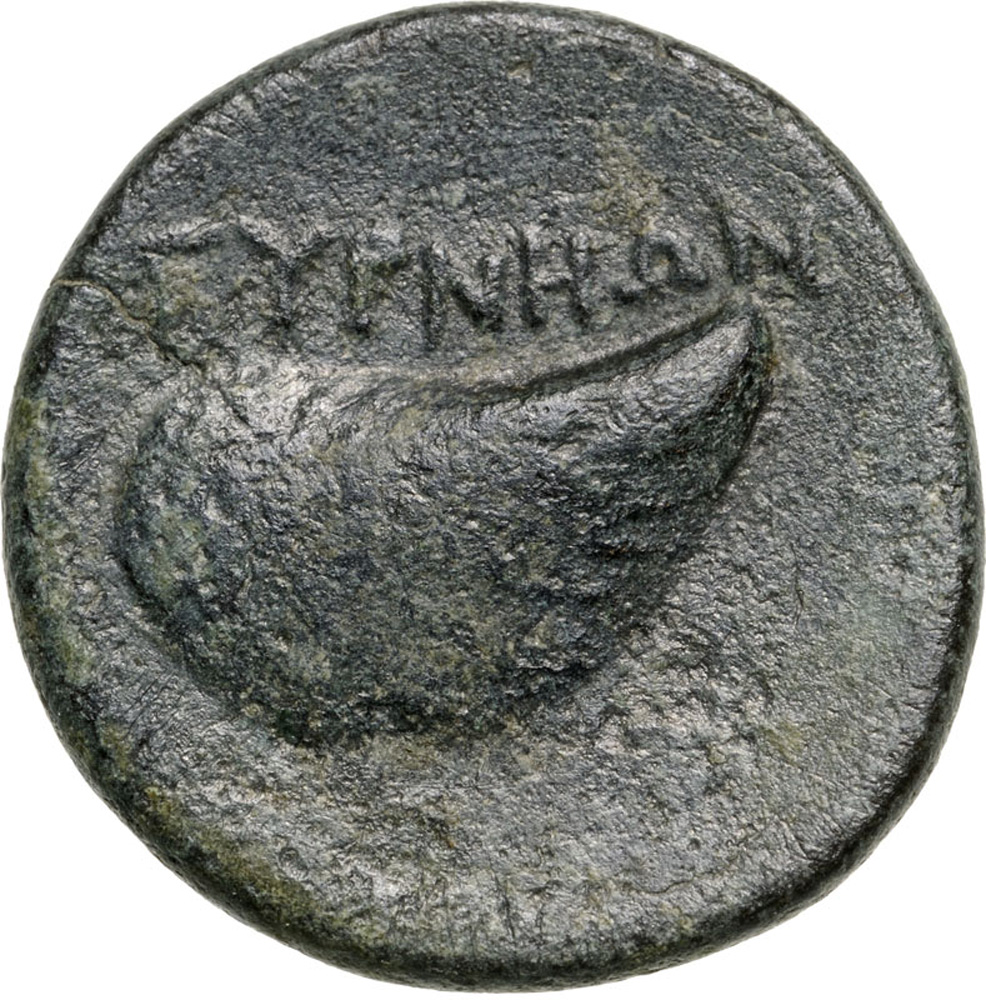 Head of Apollo facing / Shell. SNG v. Aulock 7689. R! VF+ - Image 2 of 2