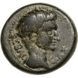 Head of Tiberius right / Bull butting right. RPC I, 3144. VF+