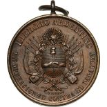 Commemorative Medal for the end of the 1866 campaign for troops, instituted in 1866