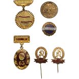 Lot of 6 Political, Study Badges.