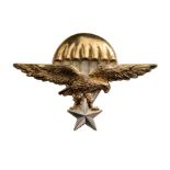 Military Paratrooper Badge