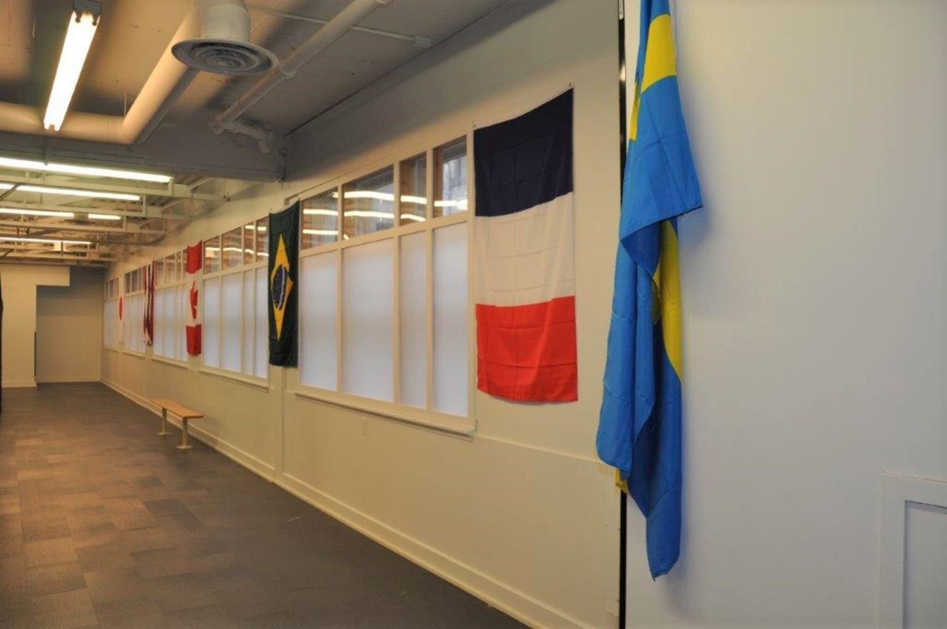 Lot: Plywood panel & (8) flags - Image 3 of 3