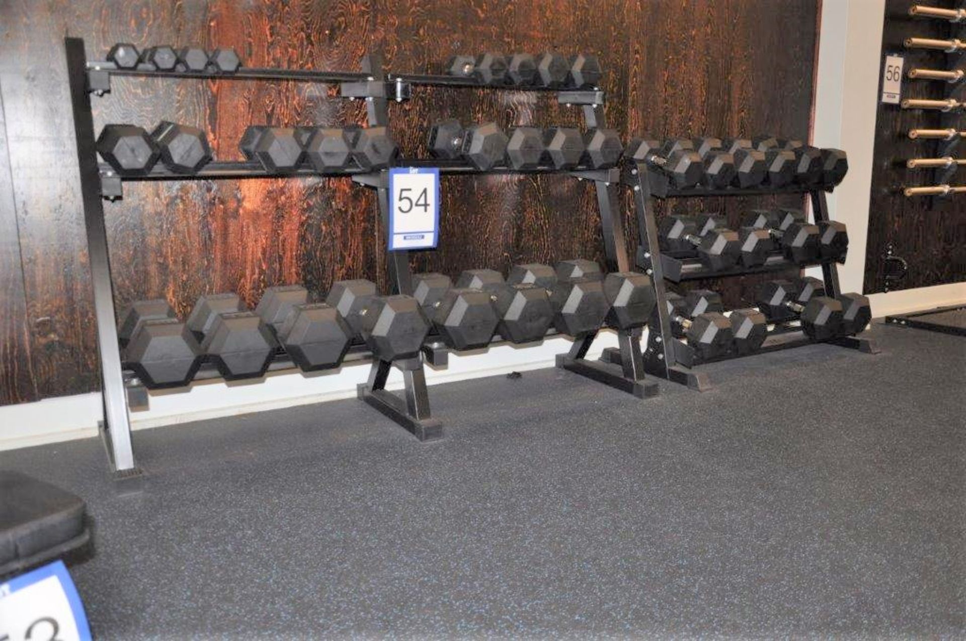 TRAINING CAMP rack with 46 dumbbells, 5 lbs to 100 lbs