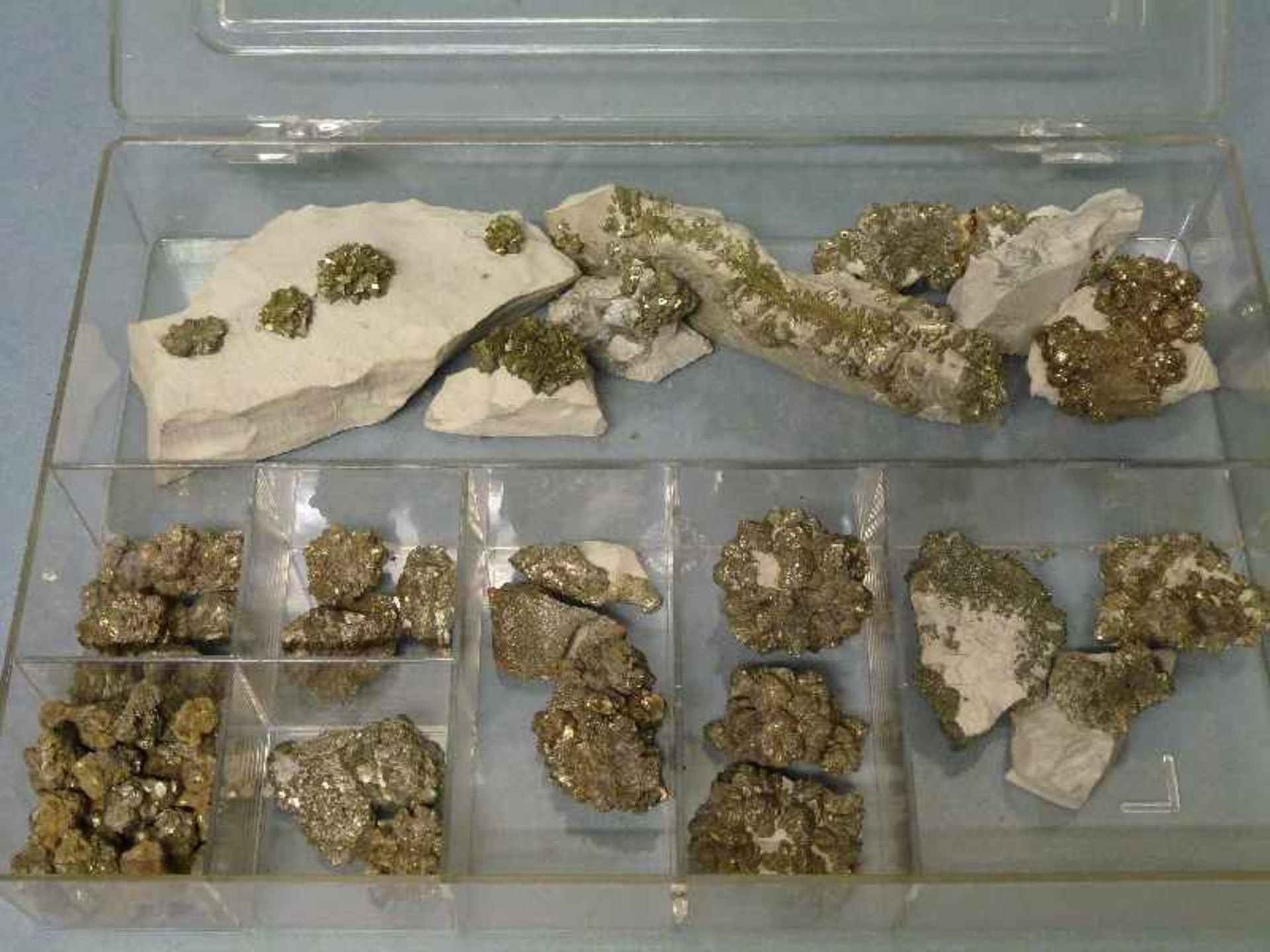 Pyrit Sammlung von verschiedenen Pyriten tlw. auf Muttergestein