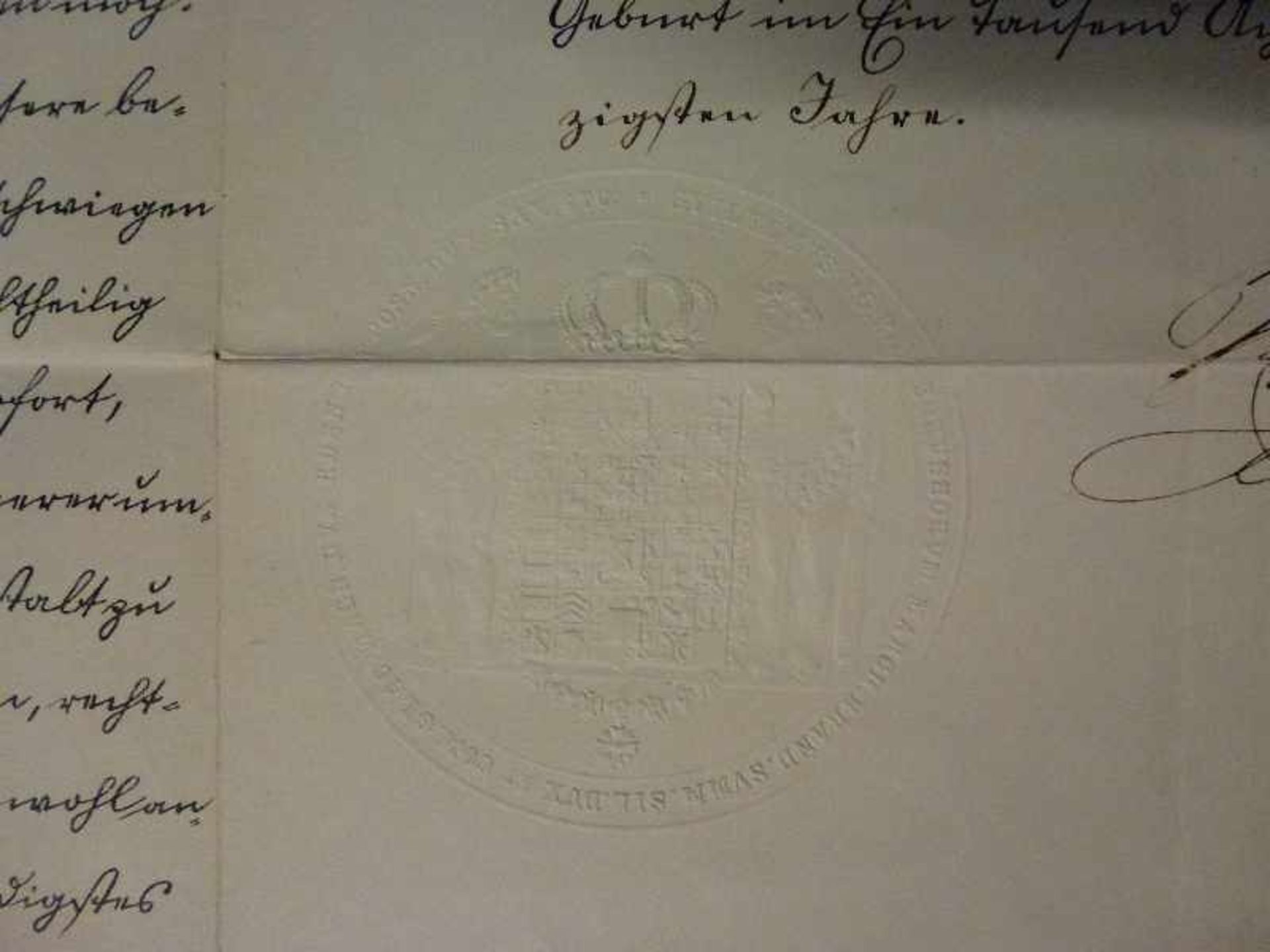 Bestallungsurkunde für den Kämmerer von Ompteda, 1884 3-Seitig lithographierte Urkunde m. - Bild 3 aus 4
